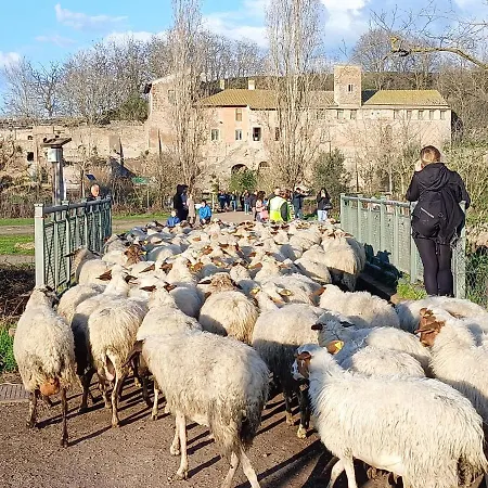 דירה Casa Mia Metro A 100mt