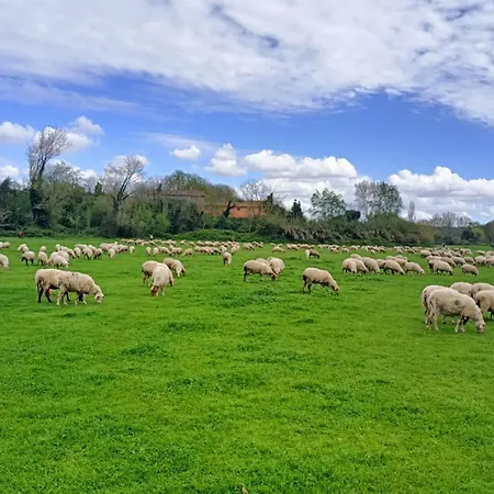 דירה Casa Mia Metro A 100mt *