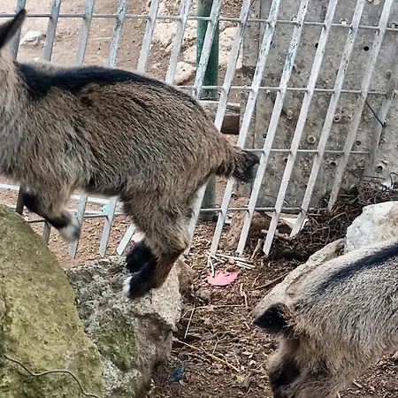 דירה Casa Mia Metro A 100mt