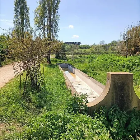 Casa Mia Metro A 100mt *