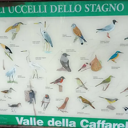 Διαμέρισμα Casa Mia Metro A 100mt Ρώμη