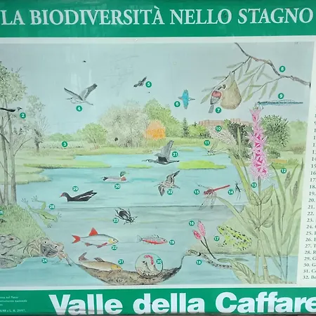Casa Mia Metro A 100mt Rome